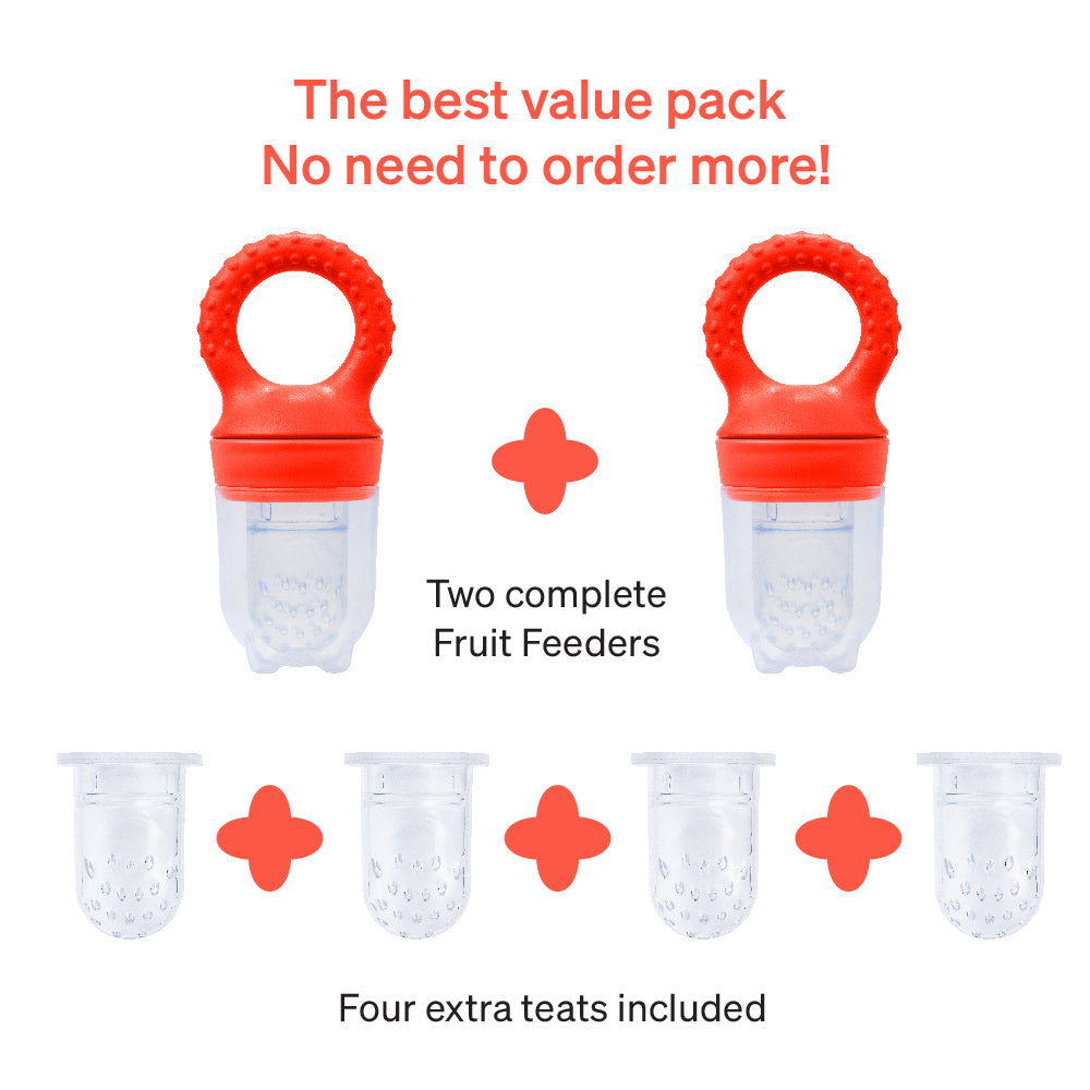 fruit feeder fruit pacifier fruit teether