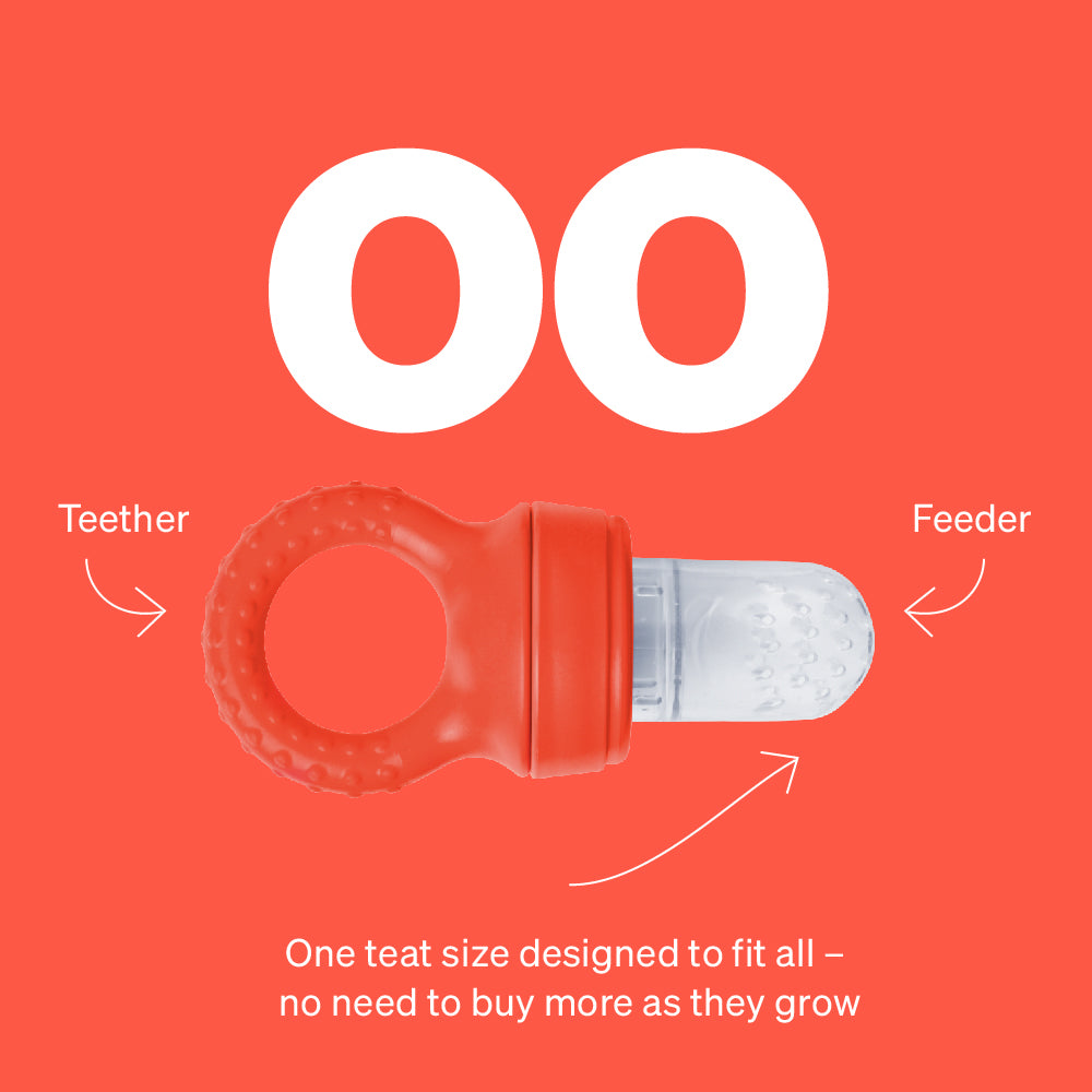 fruit feeder fruit pacifier fruit teether