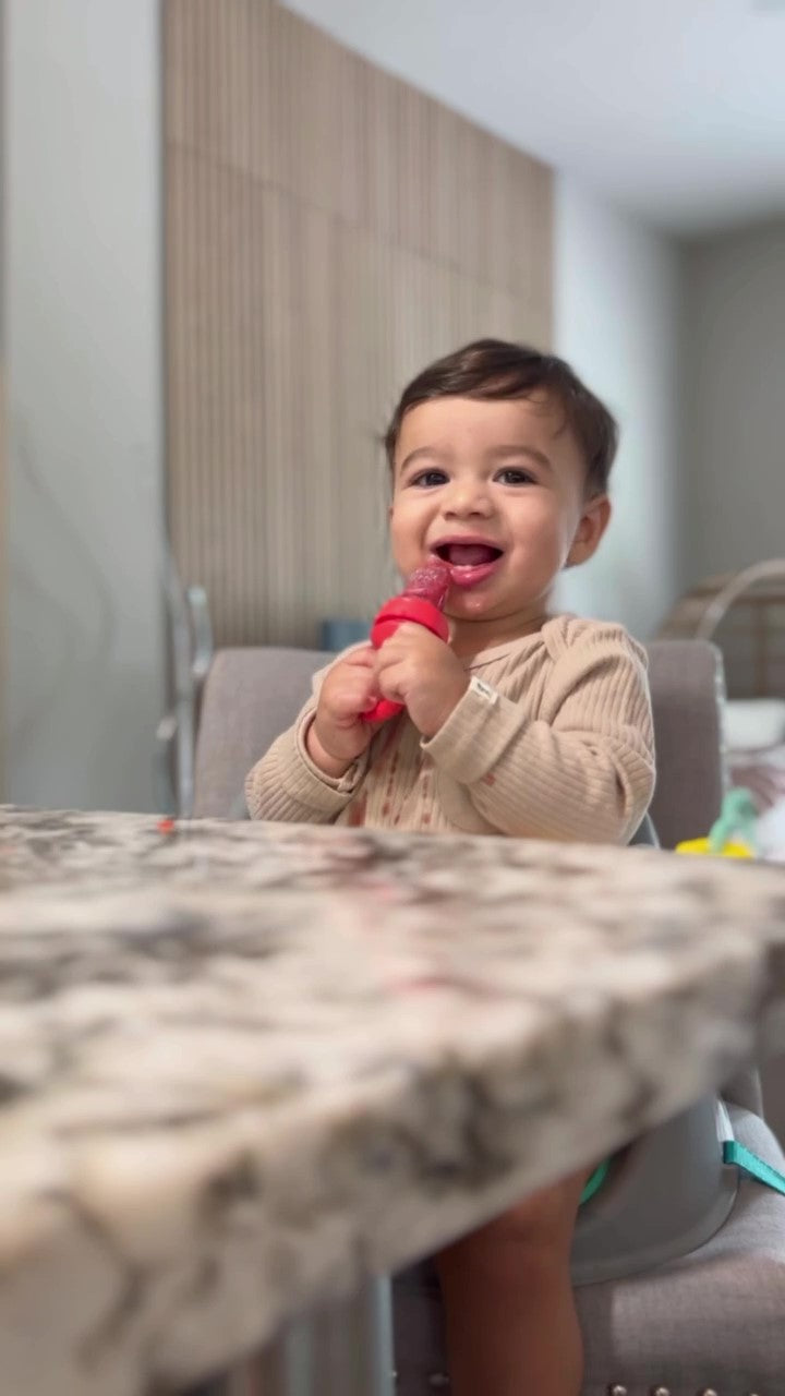 fruit feeder pacifier frozen fruit teether silicone fruit teether